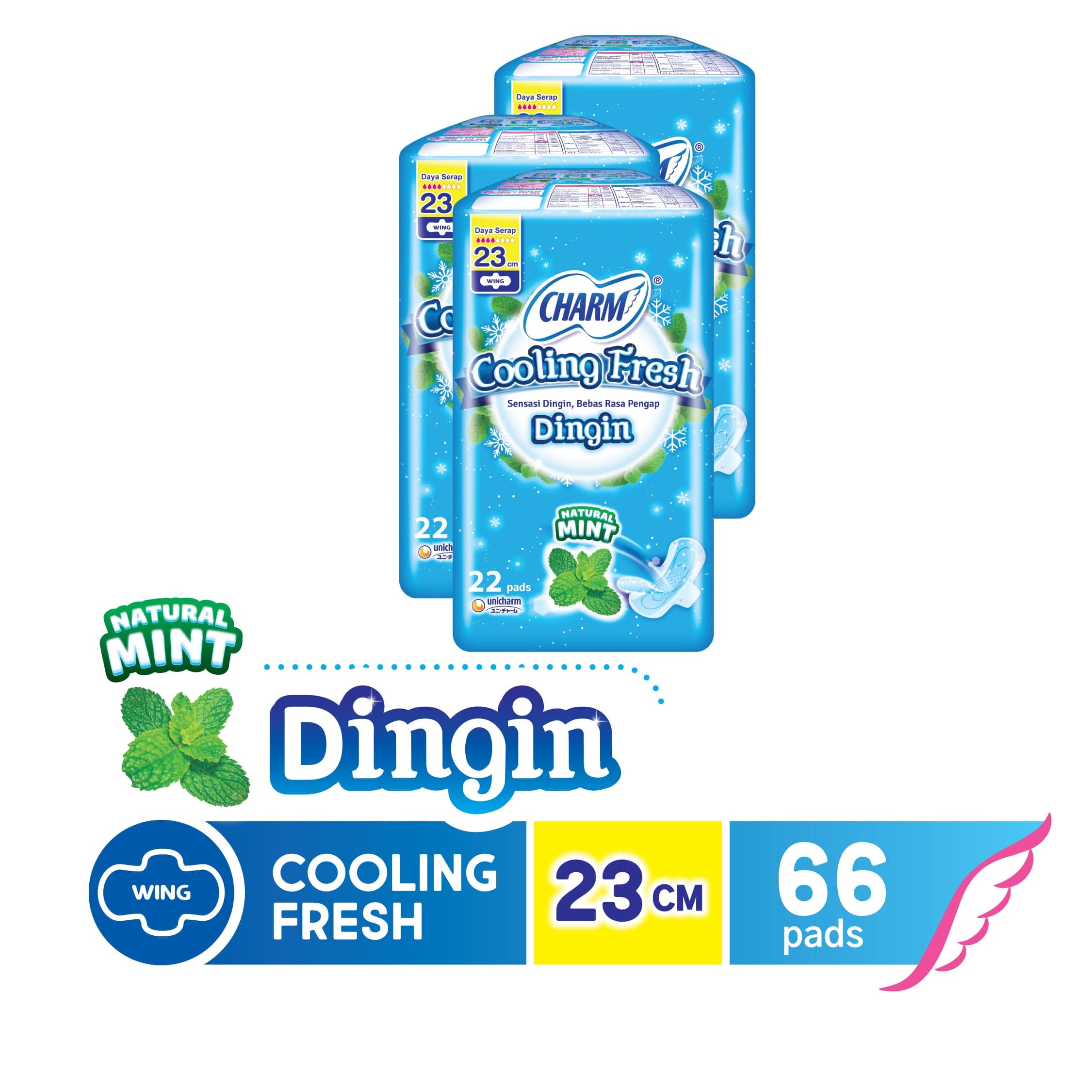 CHARM Pembalut Cooling Fresh 22 pads